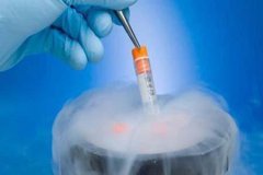 胚胎停育该如何应对？